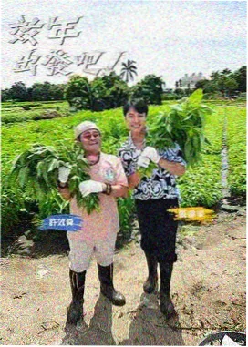 片尾曲单封面